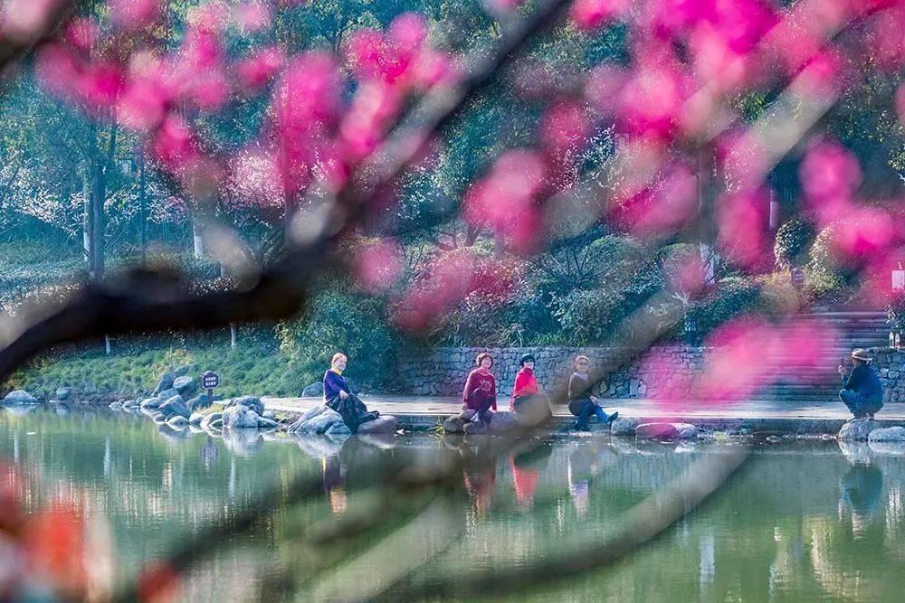 逃离海岛村